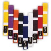 Karate Belts (7)